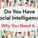 So WHAT is Social Intelligence Anyway?
